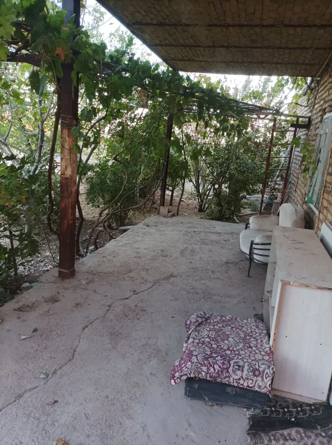 املاک دامداری 49راسی 5000متر|فروش دفتر صنعتی، کشاورزی، تجاری|دشتابی, |دیوار