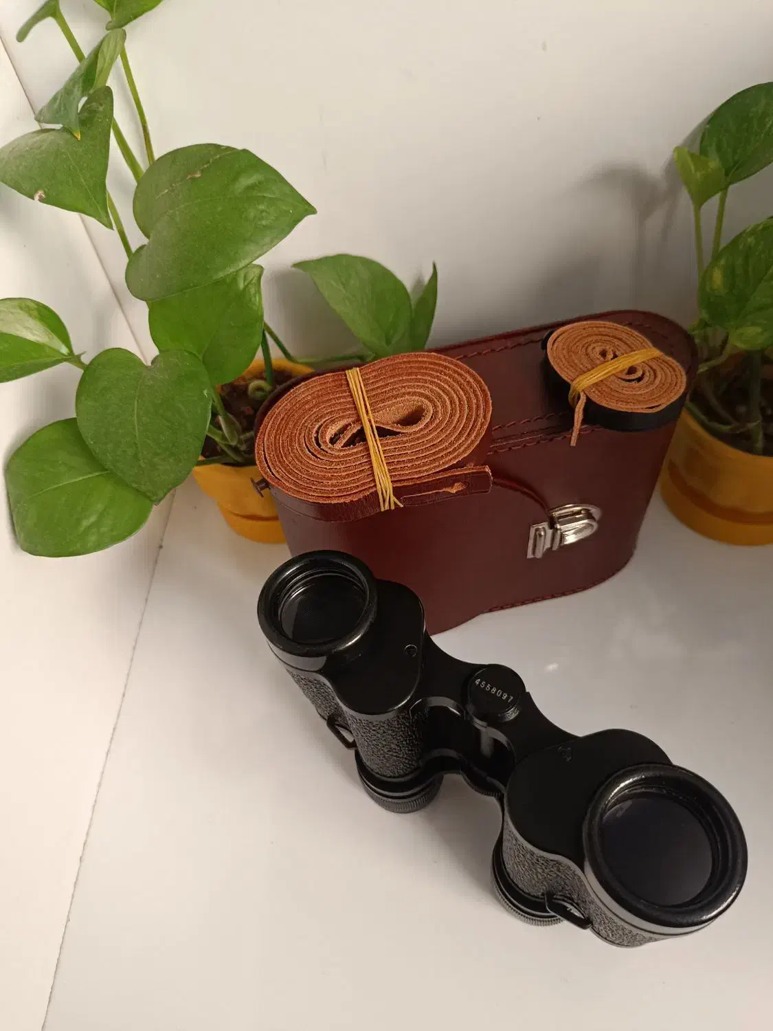 دوربین شکاری کارال زایس جینا|کوهنوردی و کمپینگ|شیراز, تپه تلویزیون|دیوار