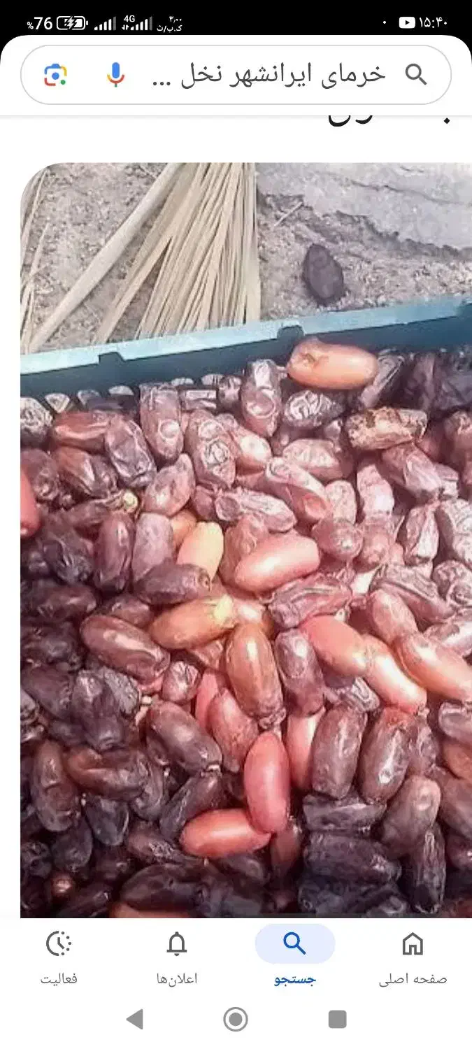 فروش نخل خرما|فروش زمین و ملک کلنگی|دامن, |دیوار