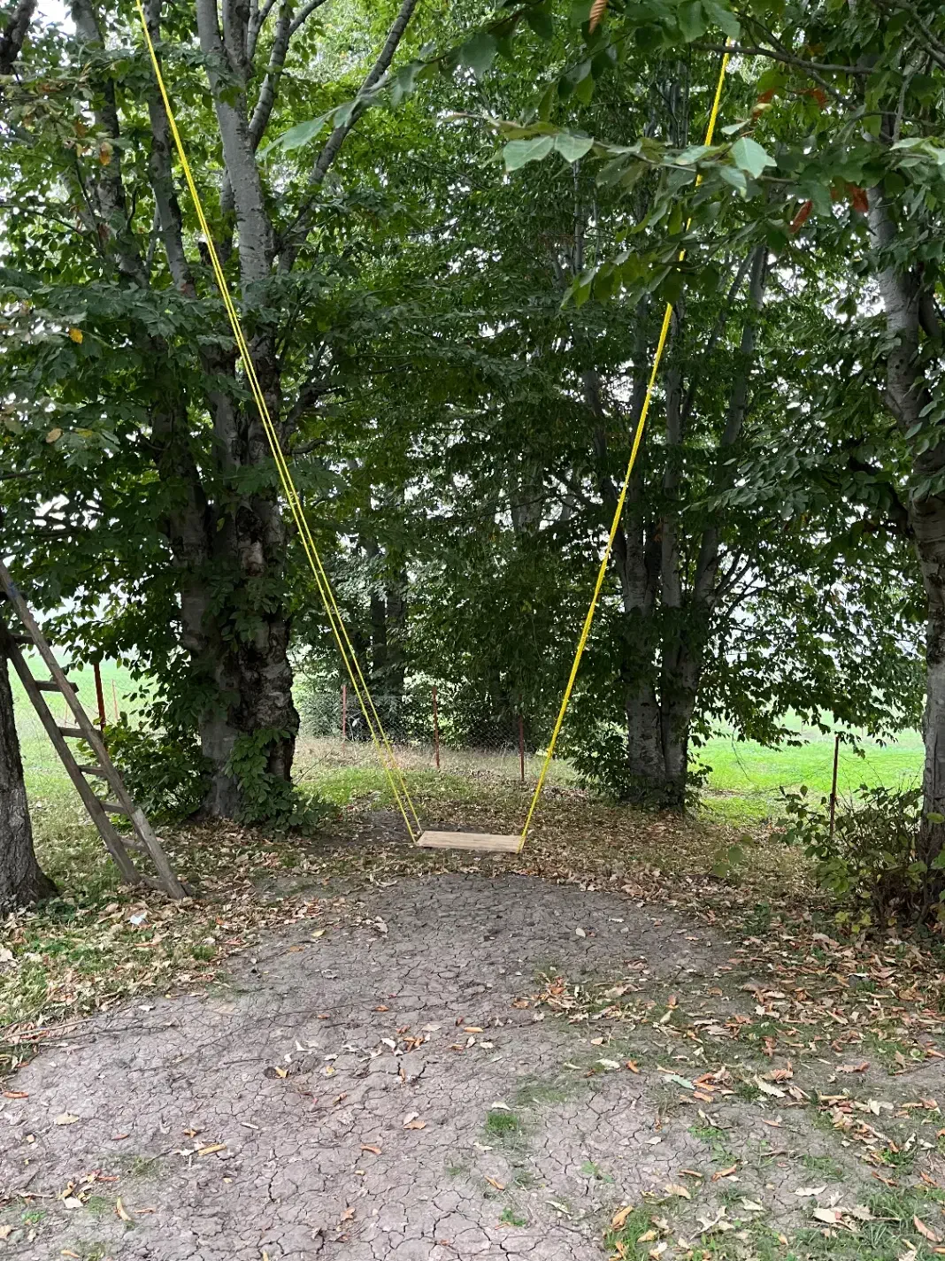 تور دورهمی|تور و چارتر|اصفهان, دانشگاه اصفهان|دیوار