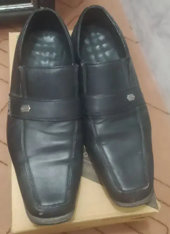 کفش مردانه|کیف، کفش، کمربند|اصفهان, فجر|دیوار