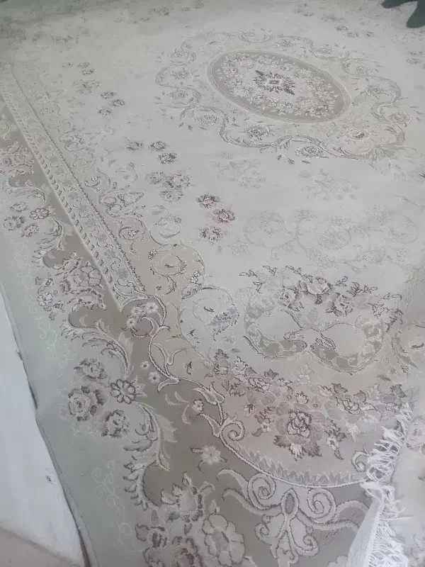 فرش ۱۲ متری کرمی|فرش|مشهد, رسالت|دیوار