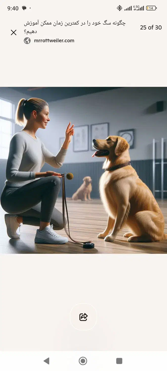 آموزش سگ و صاحب ( رفع ناهنجاری )|خدمات آموزشی|اصفهان, خانه اصفهان|دیوار