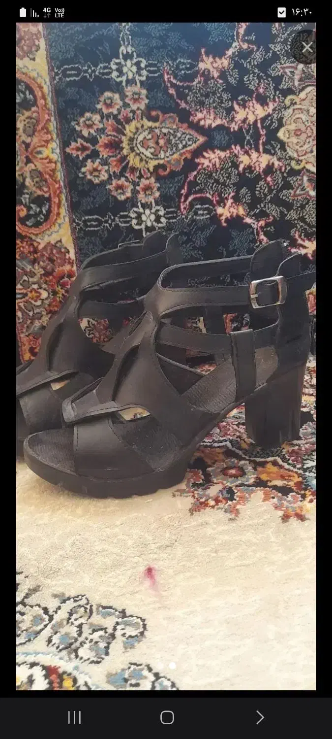 کفش|کیف، کفش، کمربند|سبزوار, پیام|دیوار