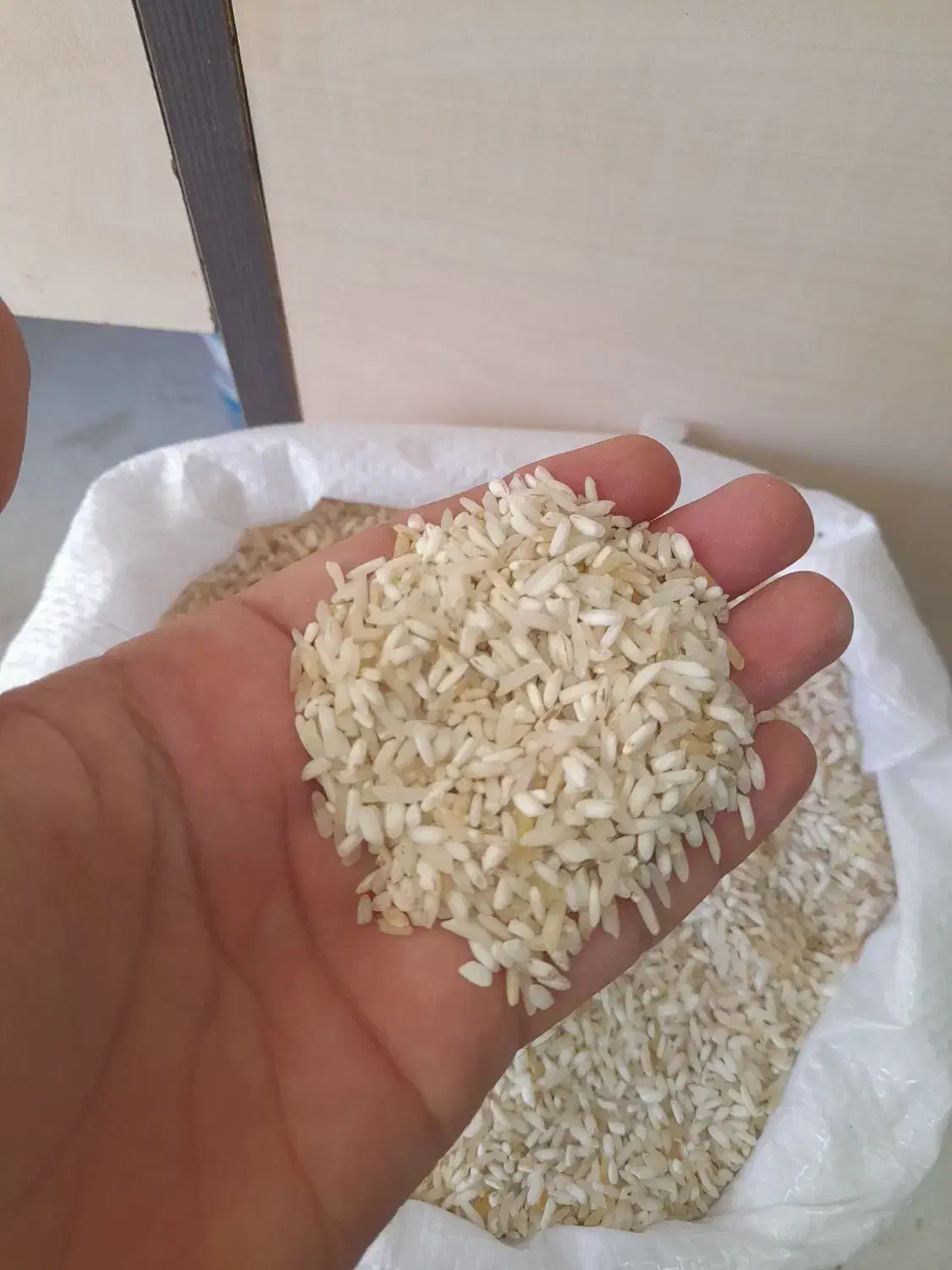 برنج محلی خوشپخت و خوش عطر|خوردنی و آشامیدنی|بندر ترکمن, |دیوار