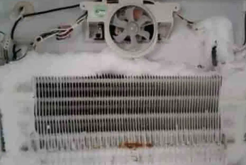 تعمیر یخچال و فریزر خانگی وصنعتی با ضمانت کتبی|خدمات پیشه و مهارت|خرم‌آباد, |دیوار