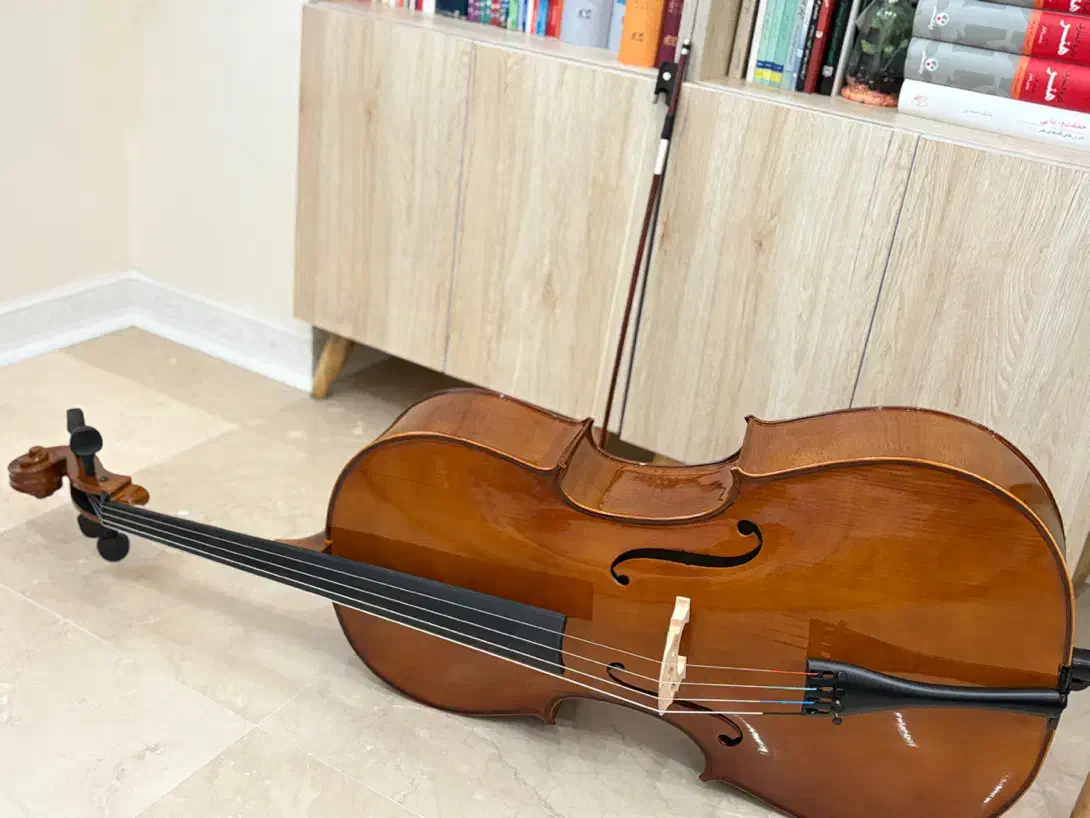 ساز ویلنسل|ویولن|تهران, علم و صنعت|دیوار