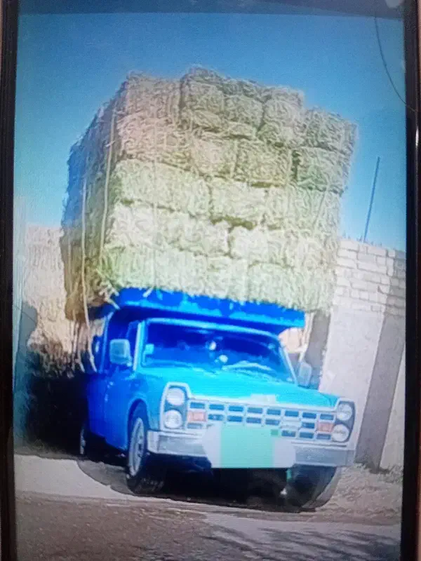 یونجه انباری|خدمات باغبانی و درختکاری|دشتابی, |دیوار