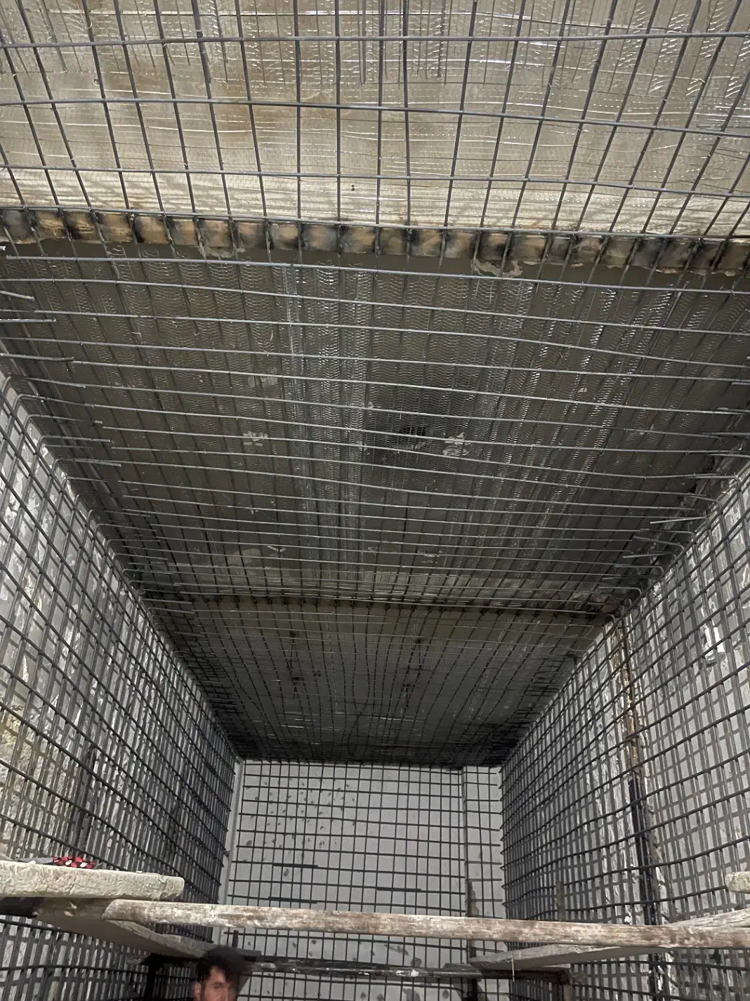 مصالح ساختمانی پیمانکاری دیوار حمل نخاله|خدمات پیشه و مهارت|ماهدشت, |دیوار