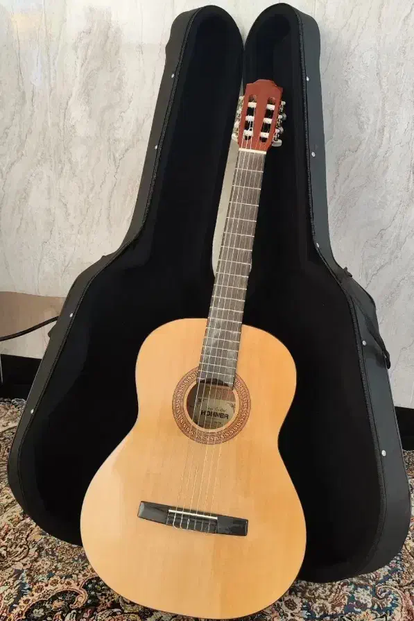 گیتار|گیتار، بیس، امپلیفایر|دامغان, |دیوار