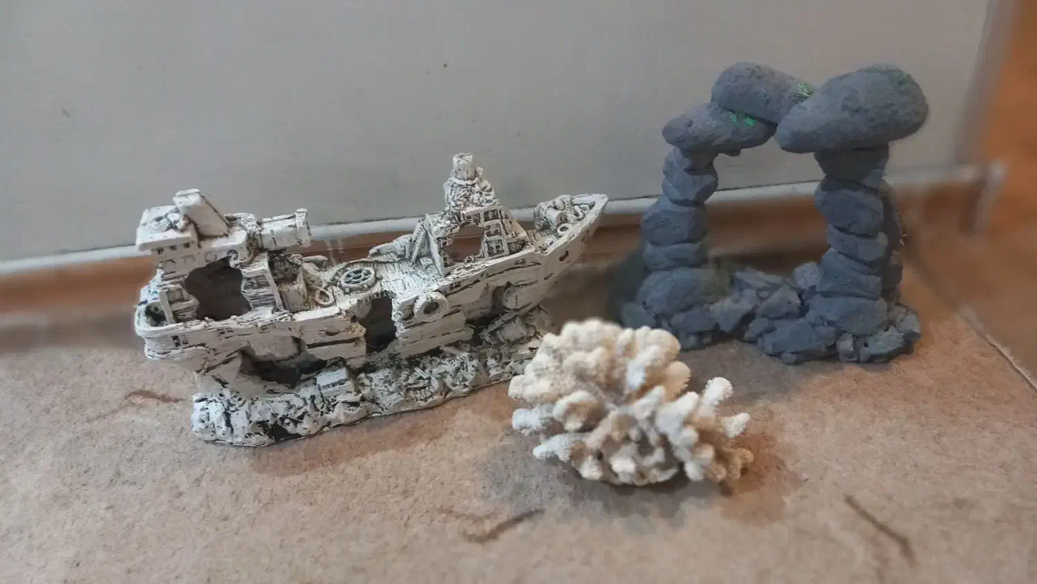 لوازم اکواریوم کشتی مرجان ...|ماهی|تهران, شهرک امام خمینی|دیوار