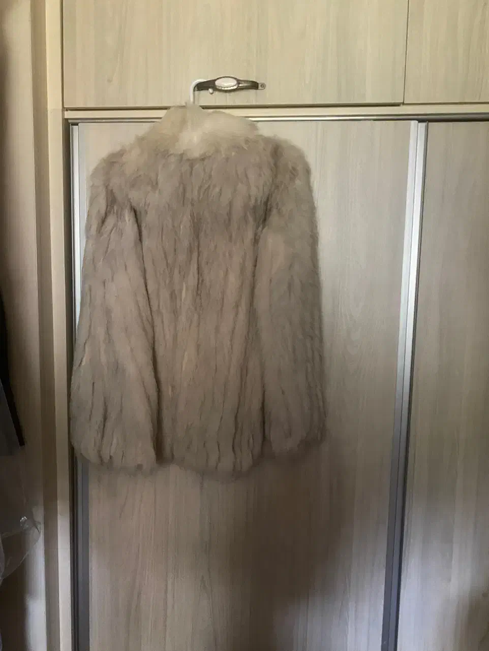 پالتو پوست|لباس|بندر انزلی, سپیدکنار|دیوار