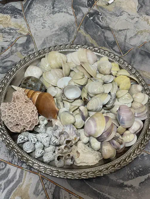 صدف|ماهی|مشهد, کارمندان دوم|دیوار