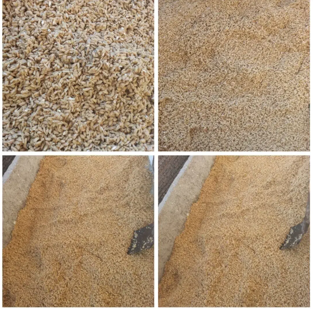 خریدار نارنج و هسته نارنج|خدمات باغبانی و درختکاری|گرگان, |دیوار