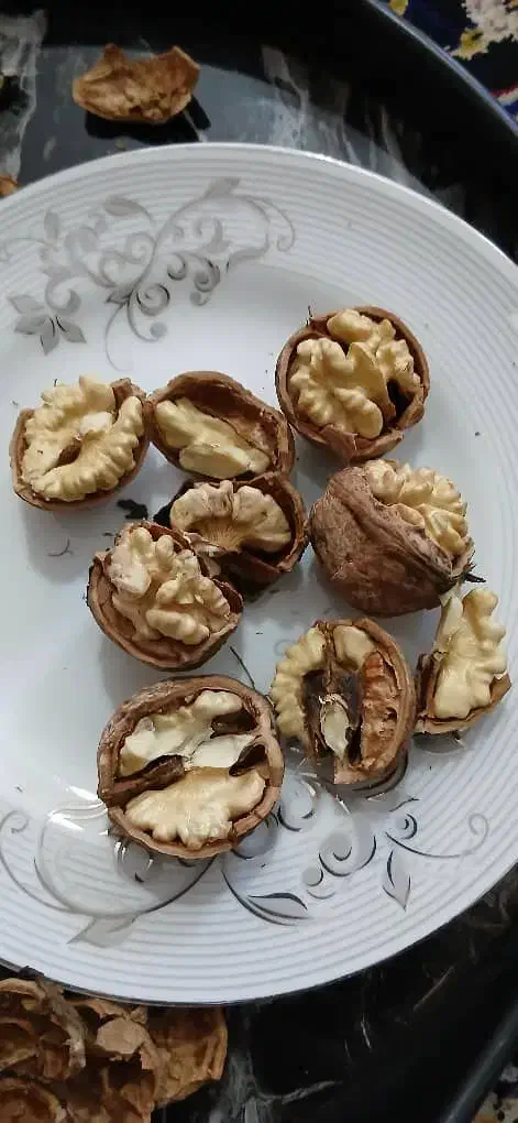 گردو بومی و خوش طعم|خوردنی و آشامیدنی|فولادشهر, فولادشهر|دیوار