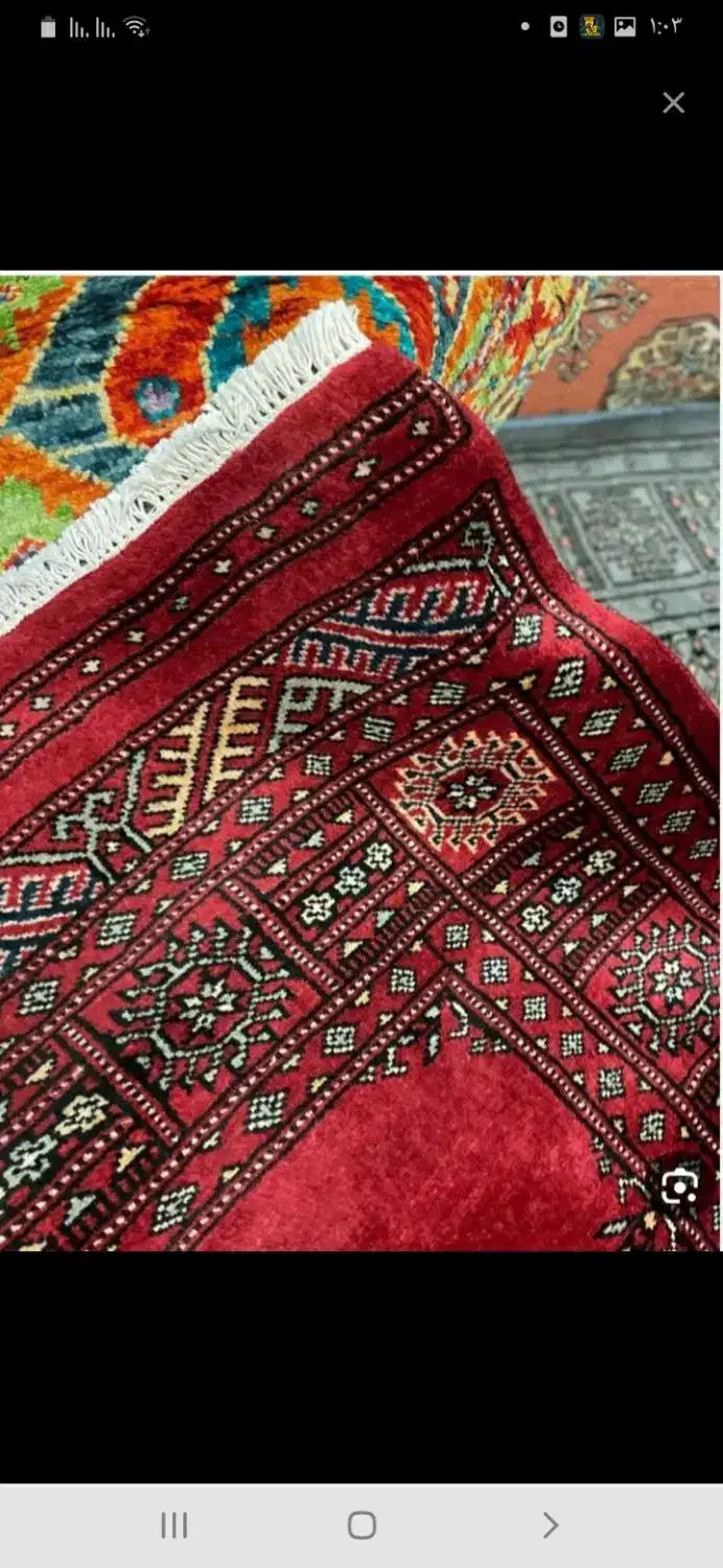 قالی شویی ومبل شویی|خدمات نظافت|جهرم, |دیوار