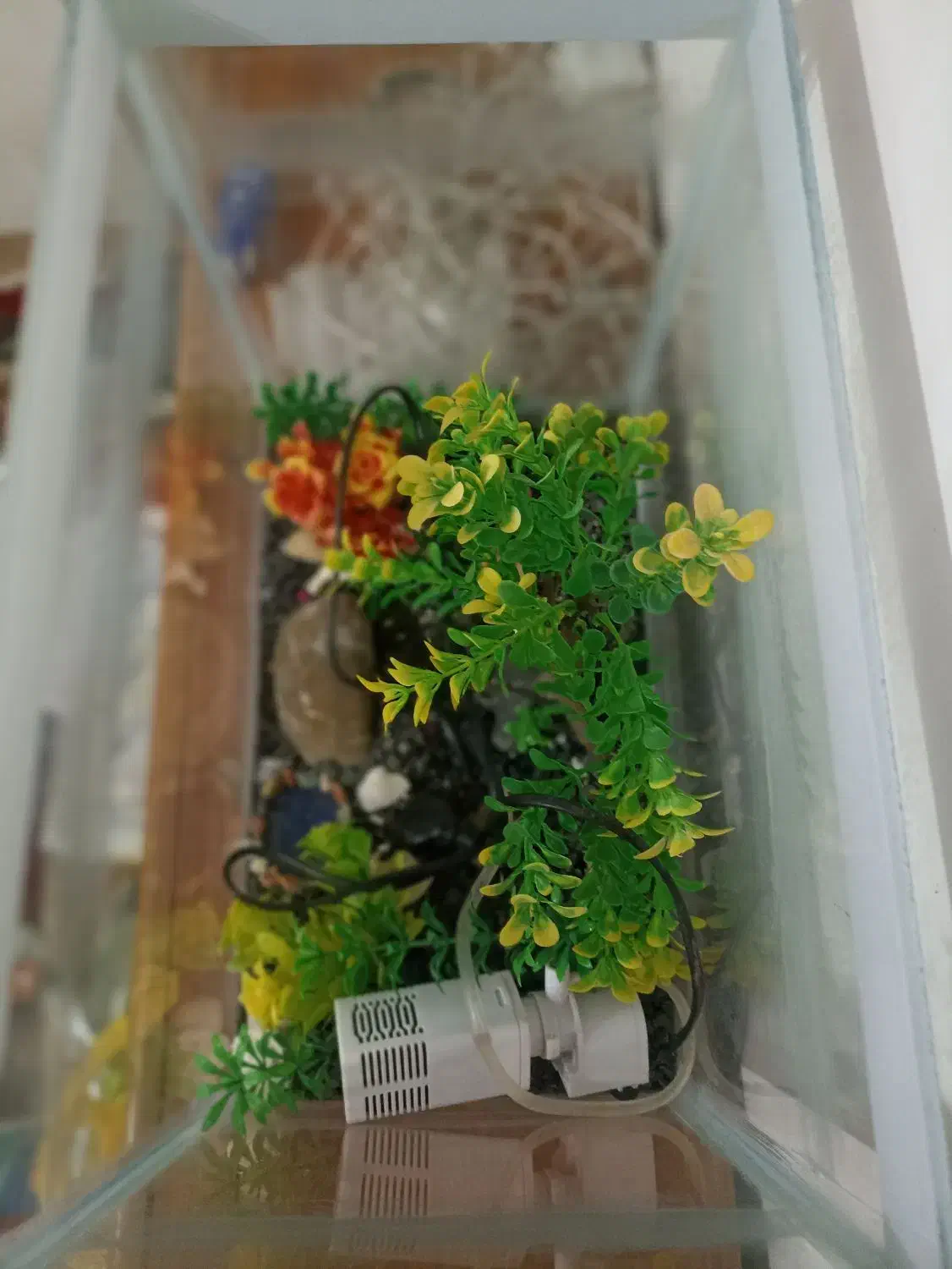 آکواریوم با همه وسایل تزئینی و پمپ|ماهی|یاسوج, |دیوار