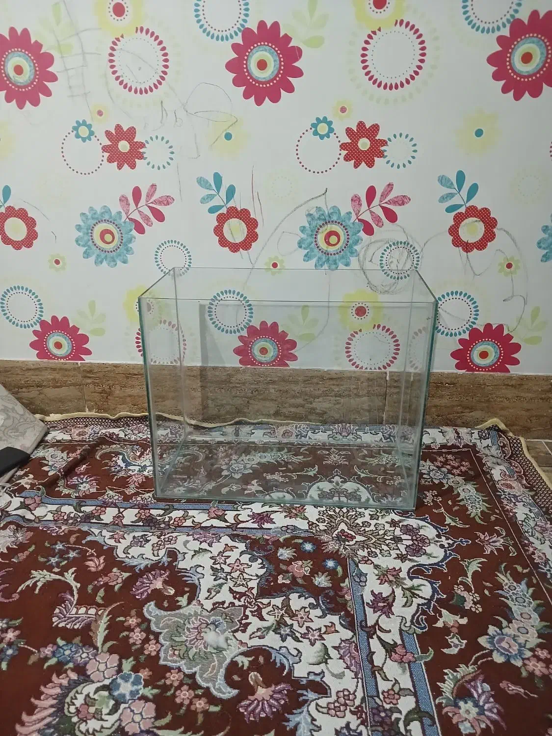 آکواریوم فروشی|ماهی|سیرجان, |دیوار