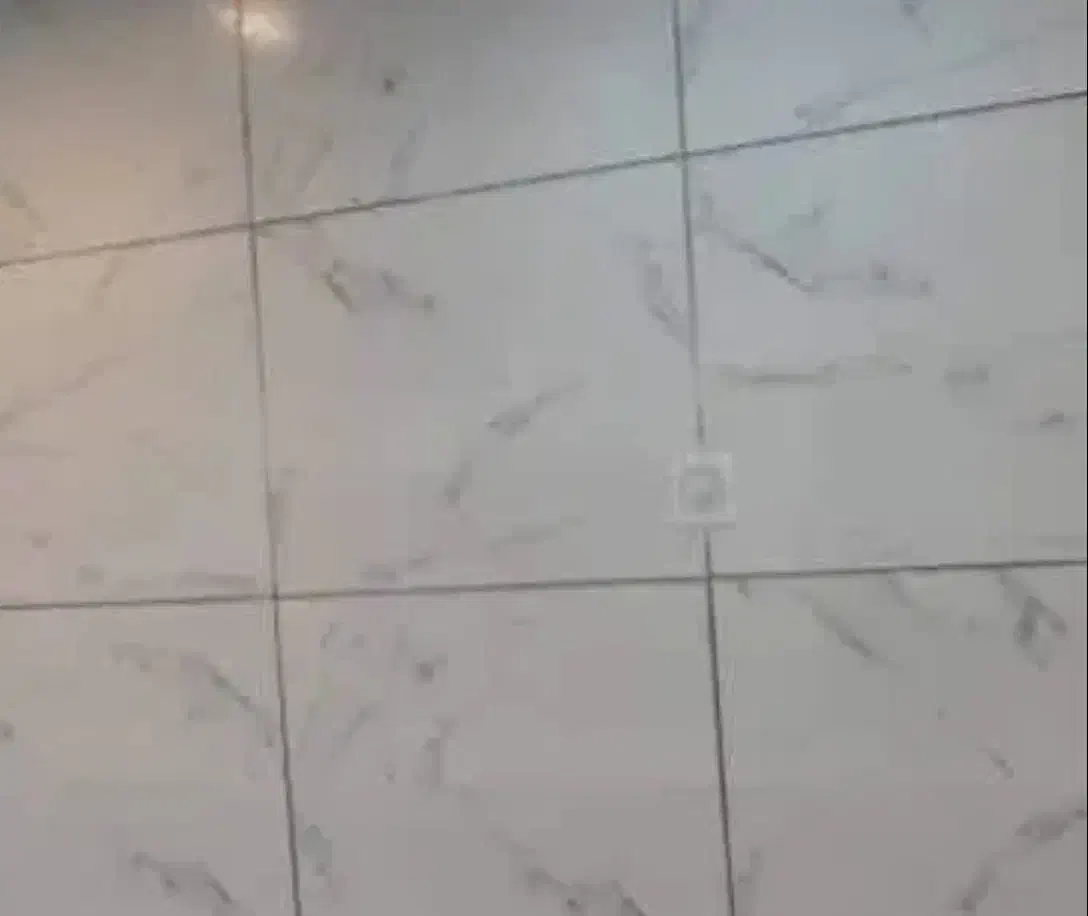 اجاره مغازه خ جانبازان ۱۲۰ متر ۵/۲۰دهنه ۵ ارتفاع|اجارهٔ مغازه و غرفه|تربت‌حیدریه, اندیشه|دیوار