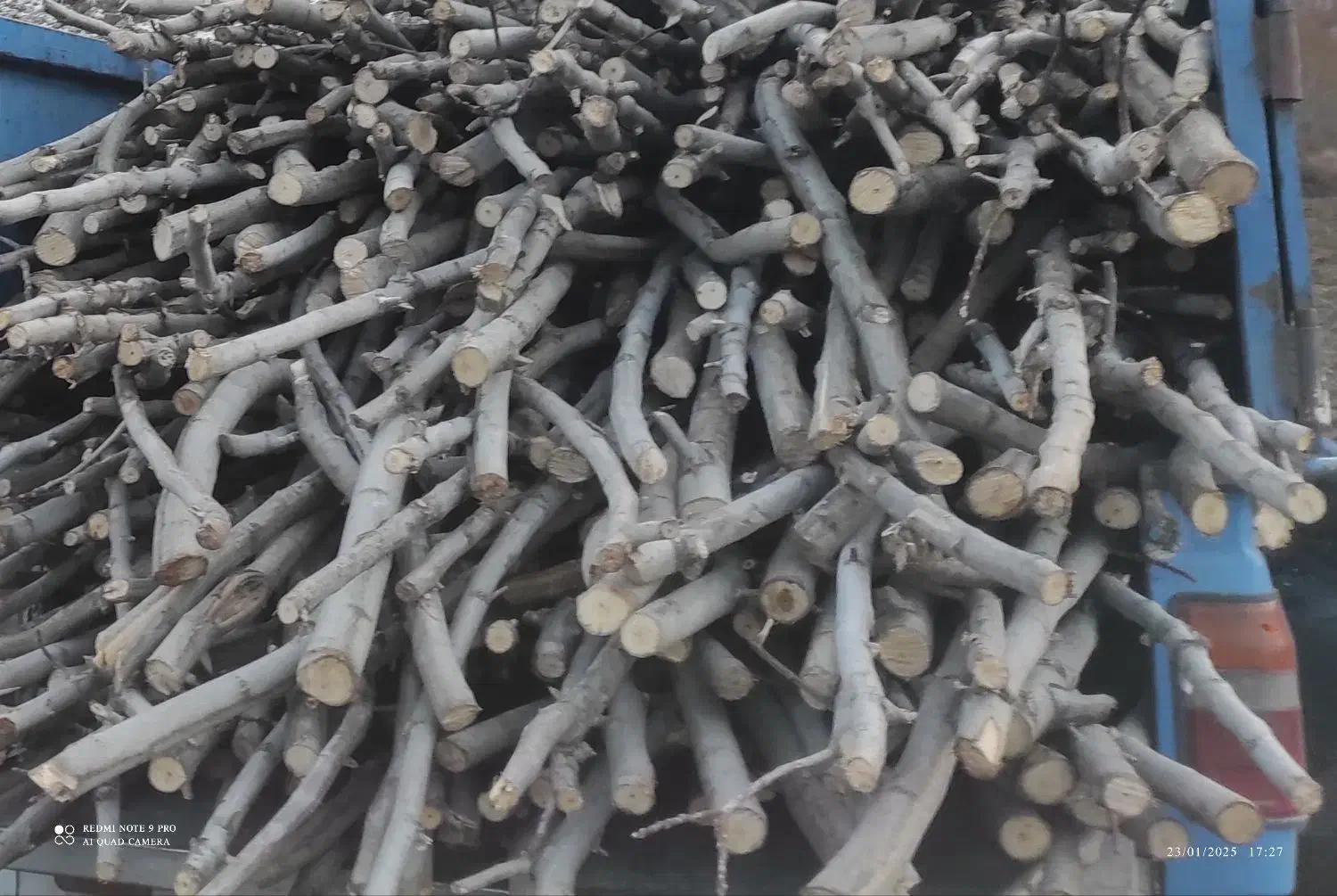 زغال کبابی|عمده‌فروشی|دینور, |دیوار