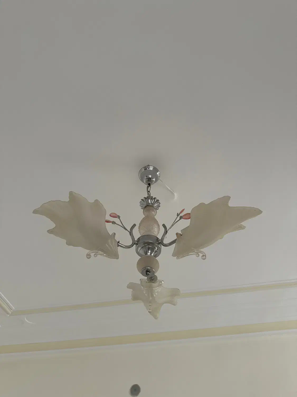 لوستر|لوستر و چراغ آویز|بندرعباس, |دیوار