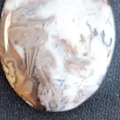 شجر زمستانه|جواهرات|اهواز, پادادشهر|دیوار