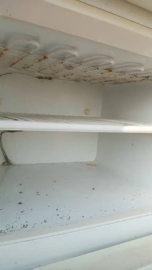 یخچال|یخچال و فریزر|فومن, |دیوار