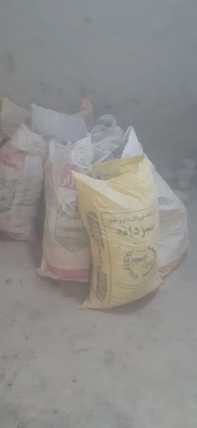 کودمرغ|گل و گیاه طبیعی|شیروان (خراسان), |دیوار