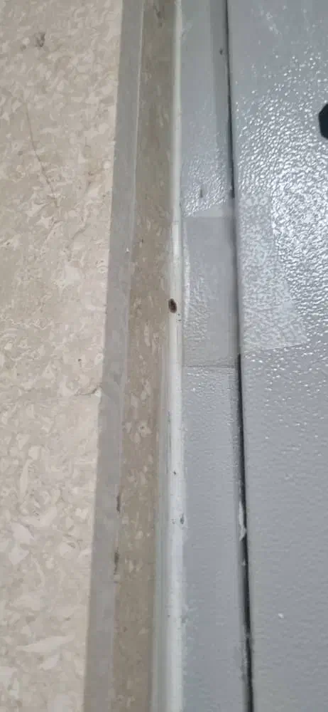 سمپاشی تخصصی منازل با مجوز بهداشت در غرب تهران|خدمات نظافت|اندیشه, اندیشه فاز ۱|دیوار