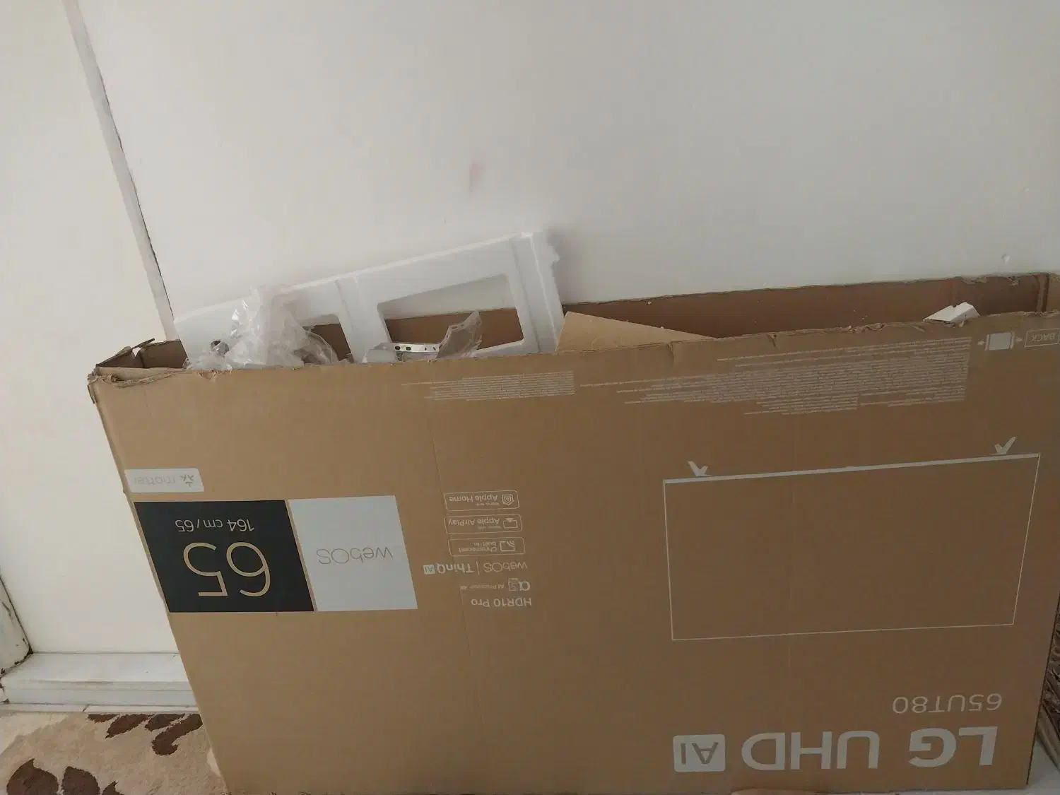 خرگوش|موش و خرگوش|بندرعباس, |دیوار