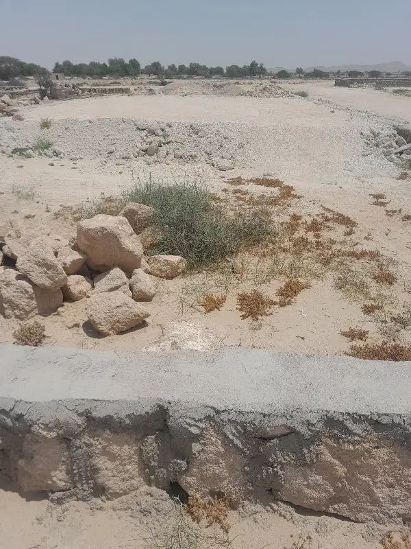 تصویر 2