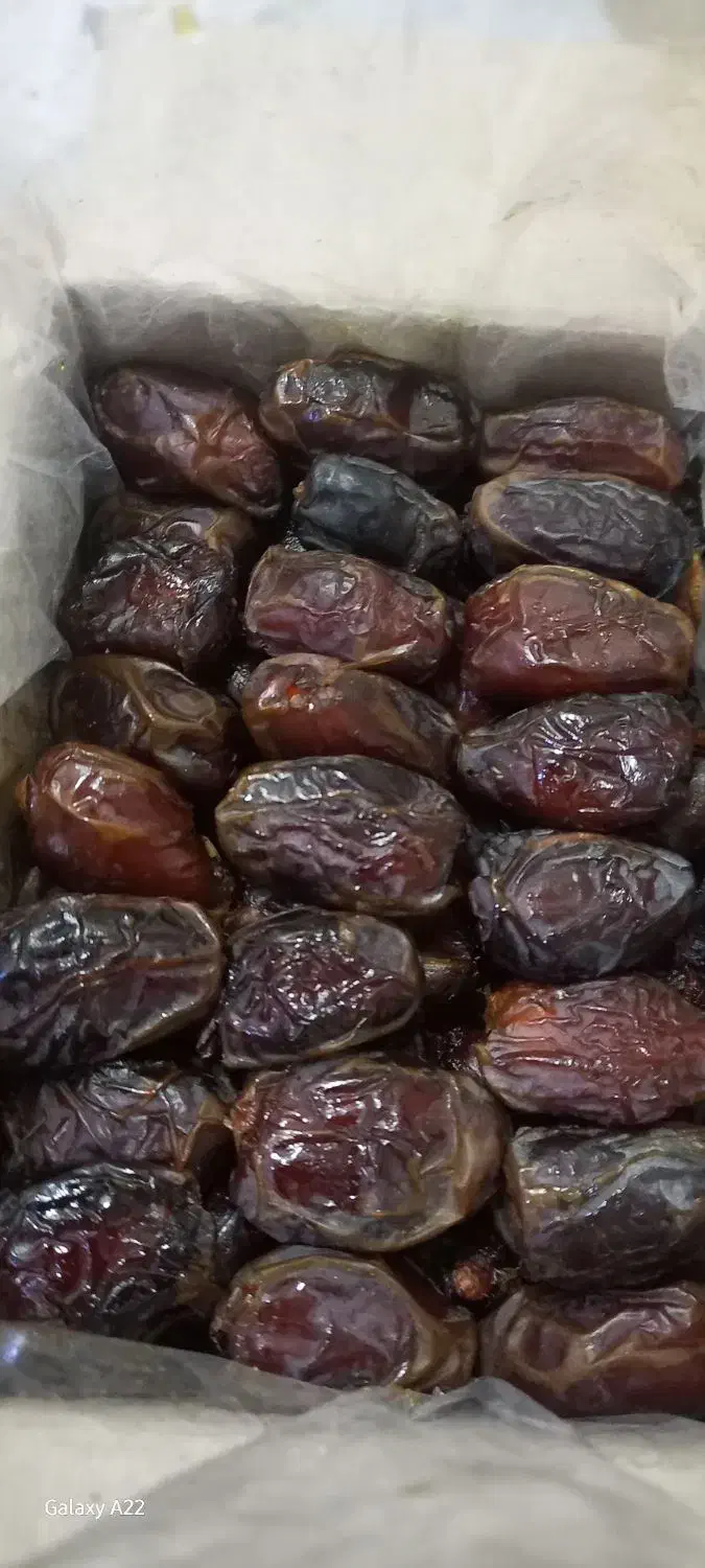 فروش خرما خاصه بسته بندی شده|عمدهفروشی|اهواز, شهرک رزمندگان|دیوار