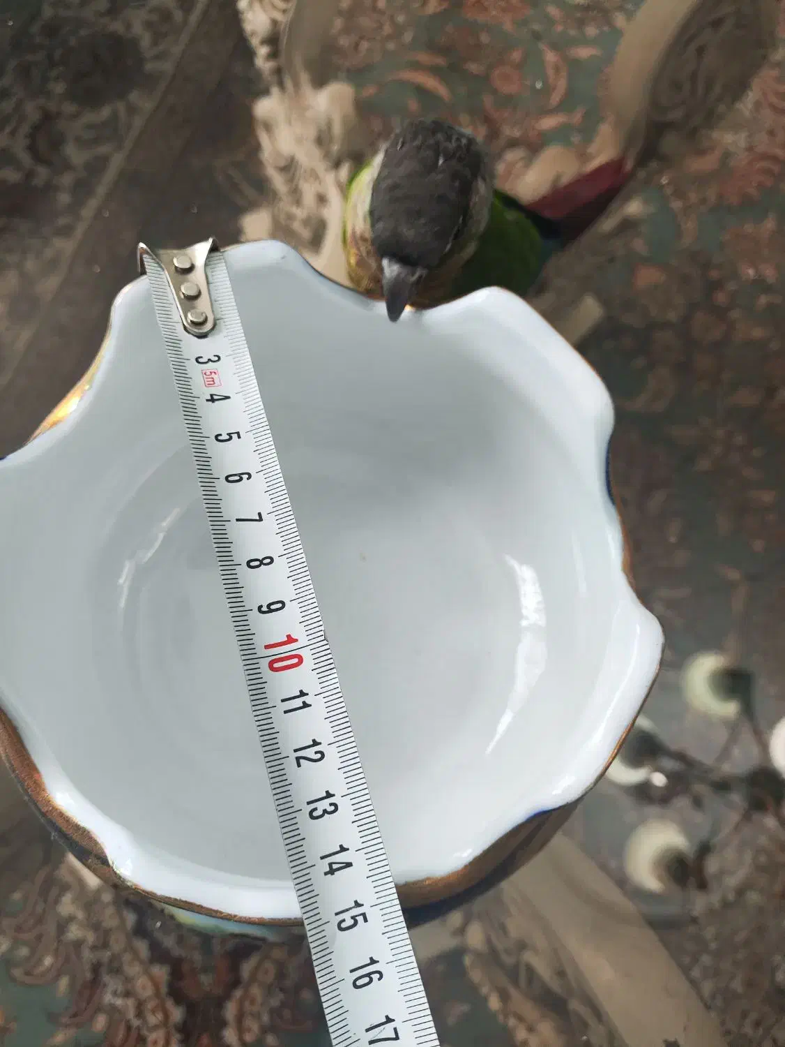 پسته خوری یا شکلات خوری لمونژ لیلی مجنون سرمه ای|ظروف سرو و پذیرایی|گرمدره, |دیوار