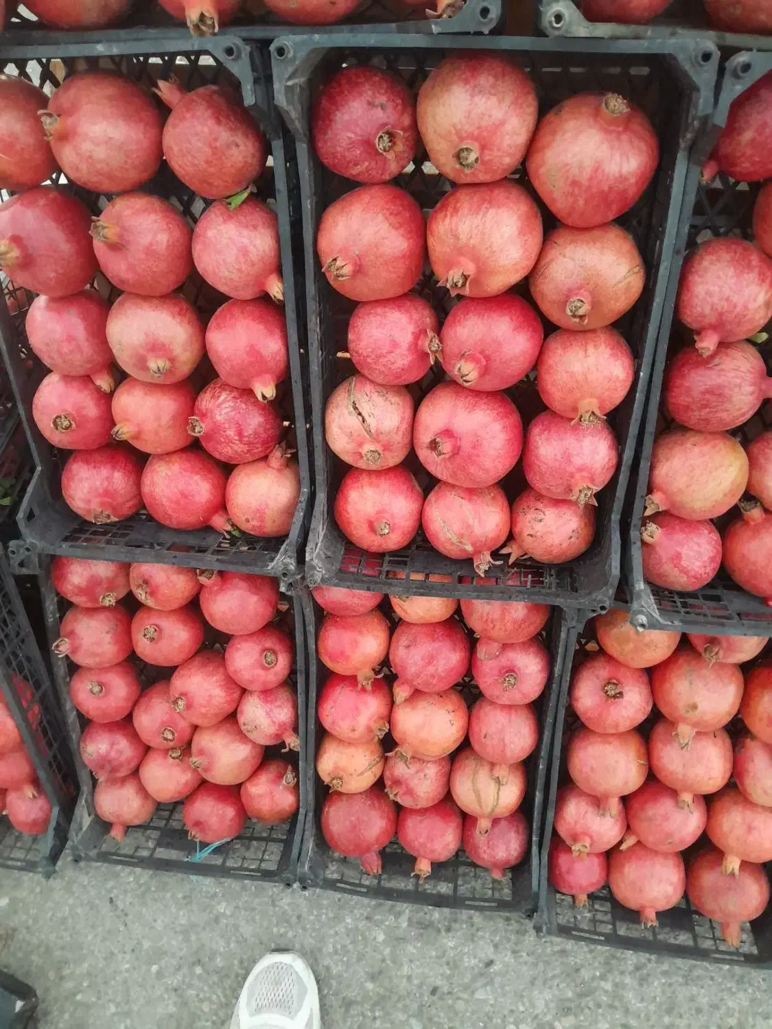 اناردرجه یک سردخانه ای ۱۰۰|خوردنی و آشامیدنی|کوهدشت, |دیوار