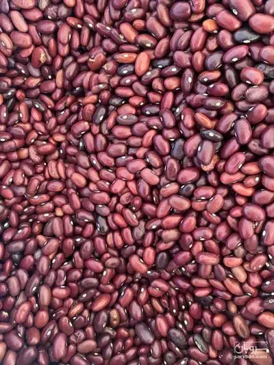 لوبیا قرمز خارجی|خوردنی و آشامیدنی|تهران, انبار نفت|دیوار