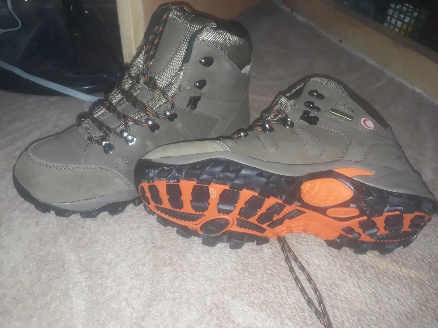 کفش مخصوص|کیف، کفش، کمربند|قائن, |دیوار