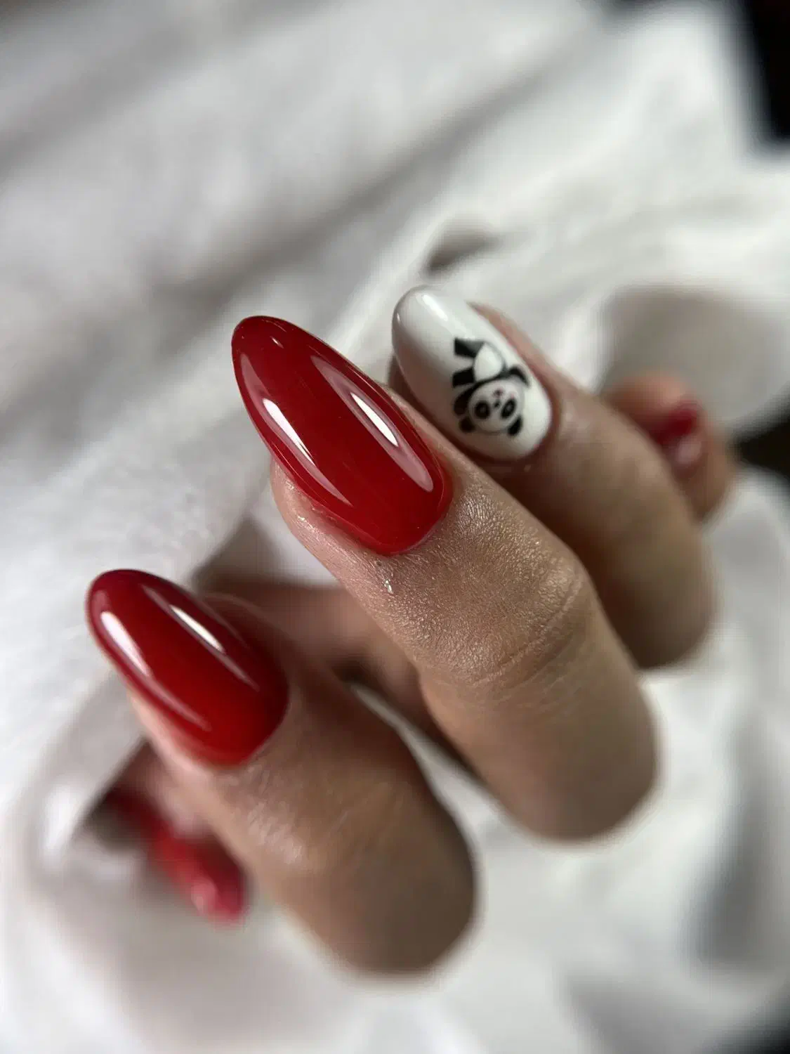 آرایشی و زیبایی|خدمات آرایشگری و زیبایی|الوند, |دیوار