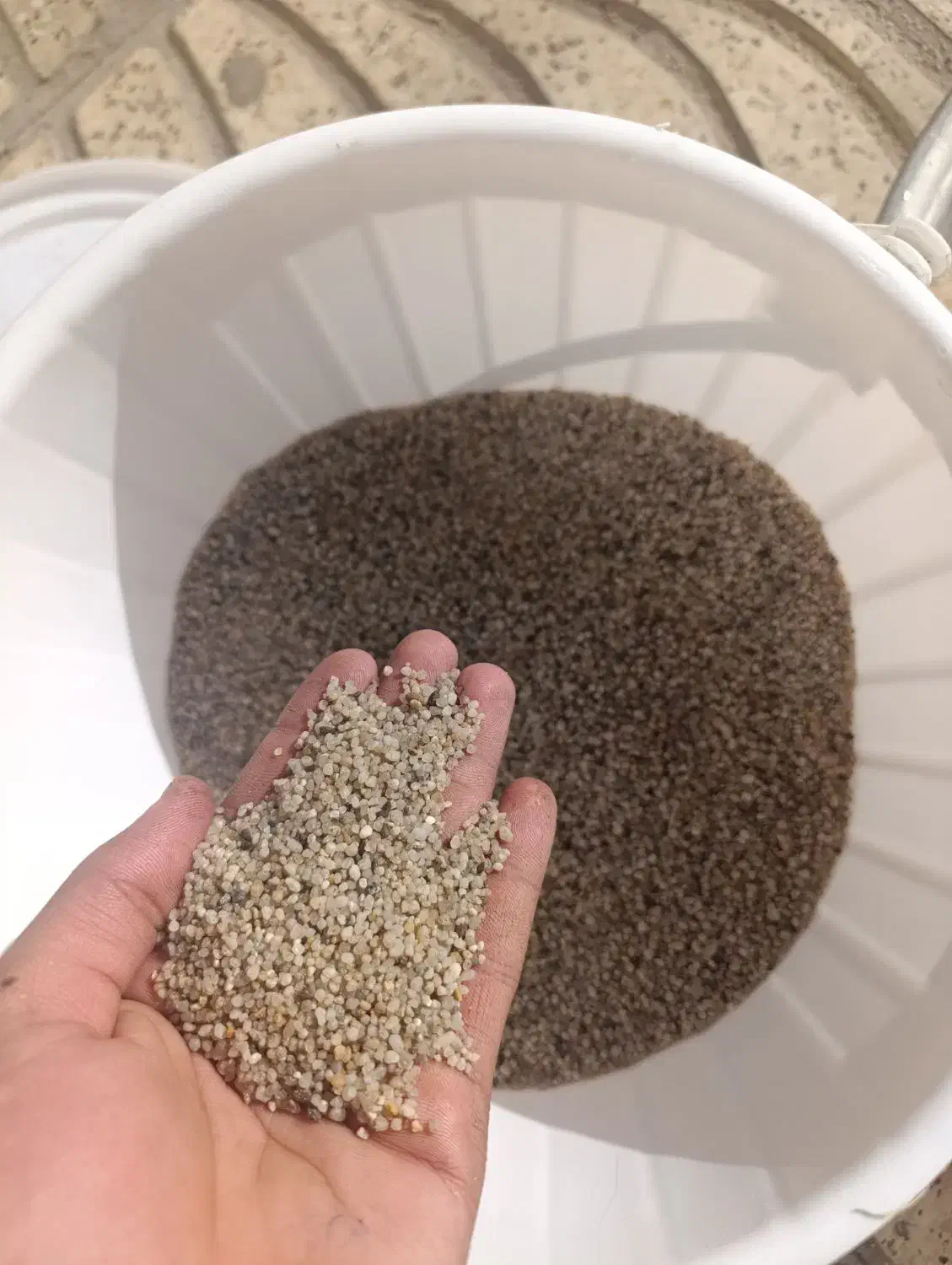 شن آکواریوم عربی|ماهی|کرمان, |دیوار