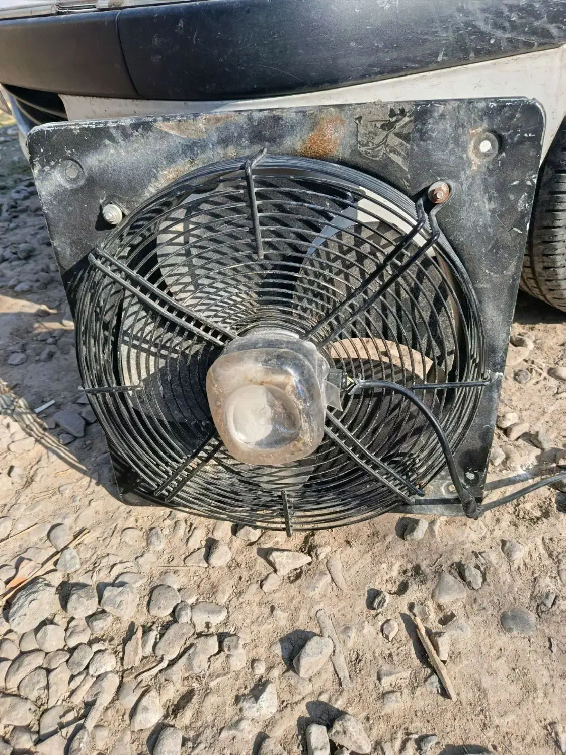 هواکش مرغداری|پنکه و تصفیه‌کنندهٔ هوا|آق قلا, |دیوار