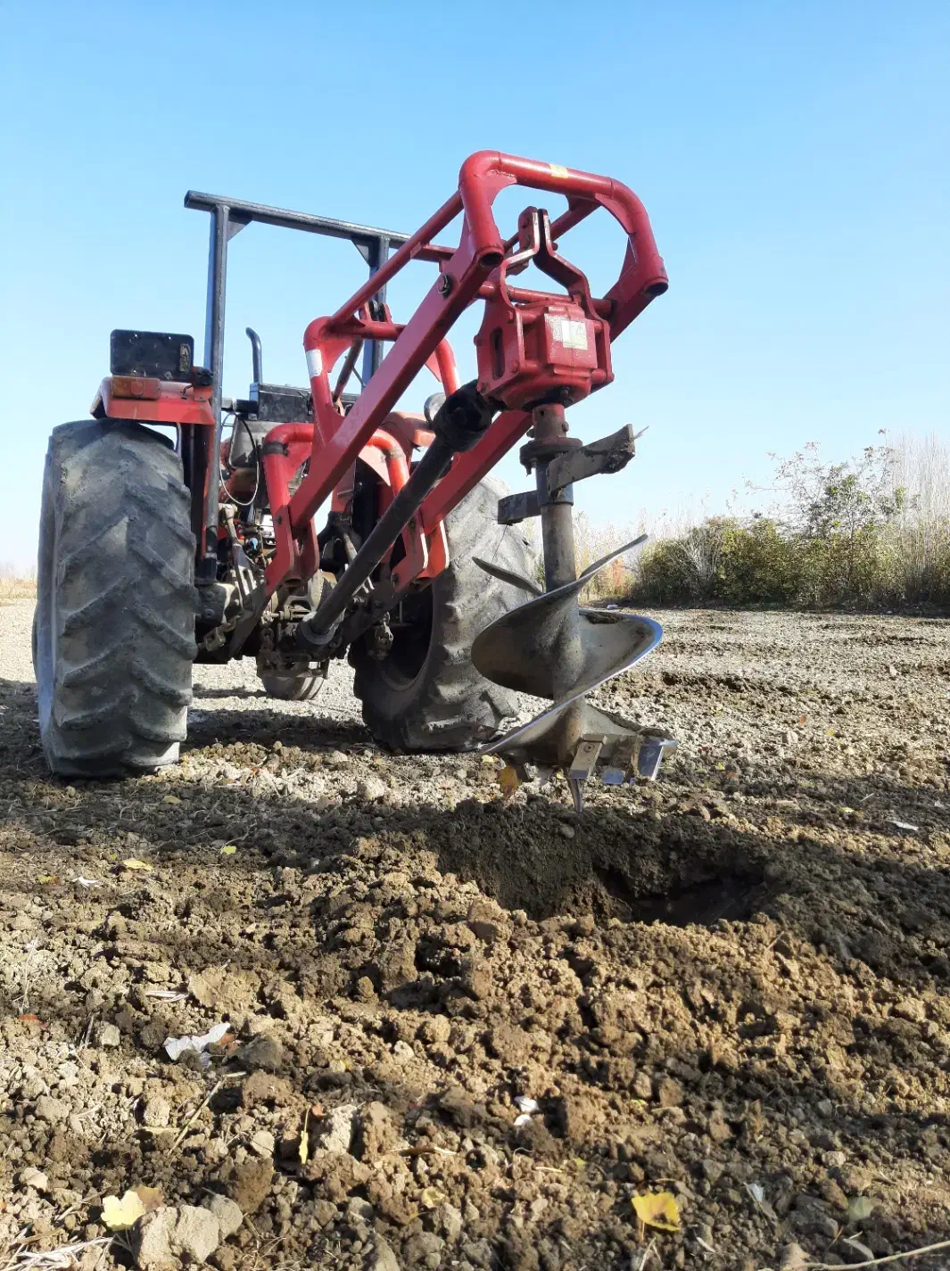 چاله کن|خدمات باغبانی و درختکاری|نوشین شهر, |دیوار