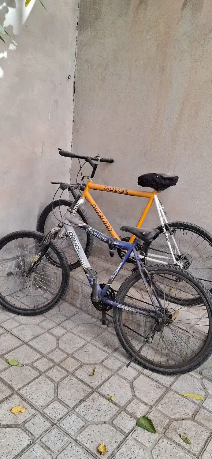 دوچرخه|دوچرخه، اسکیت، اسکوتر|همدان, |دیوار