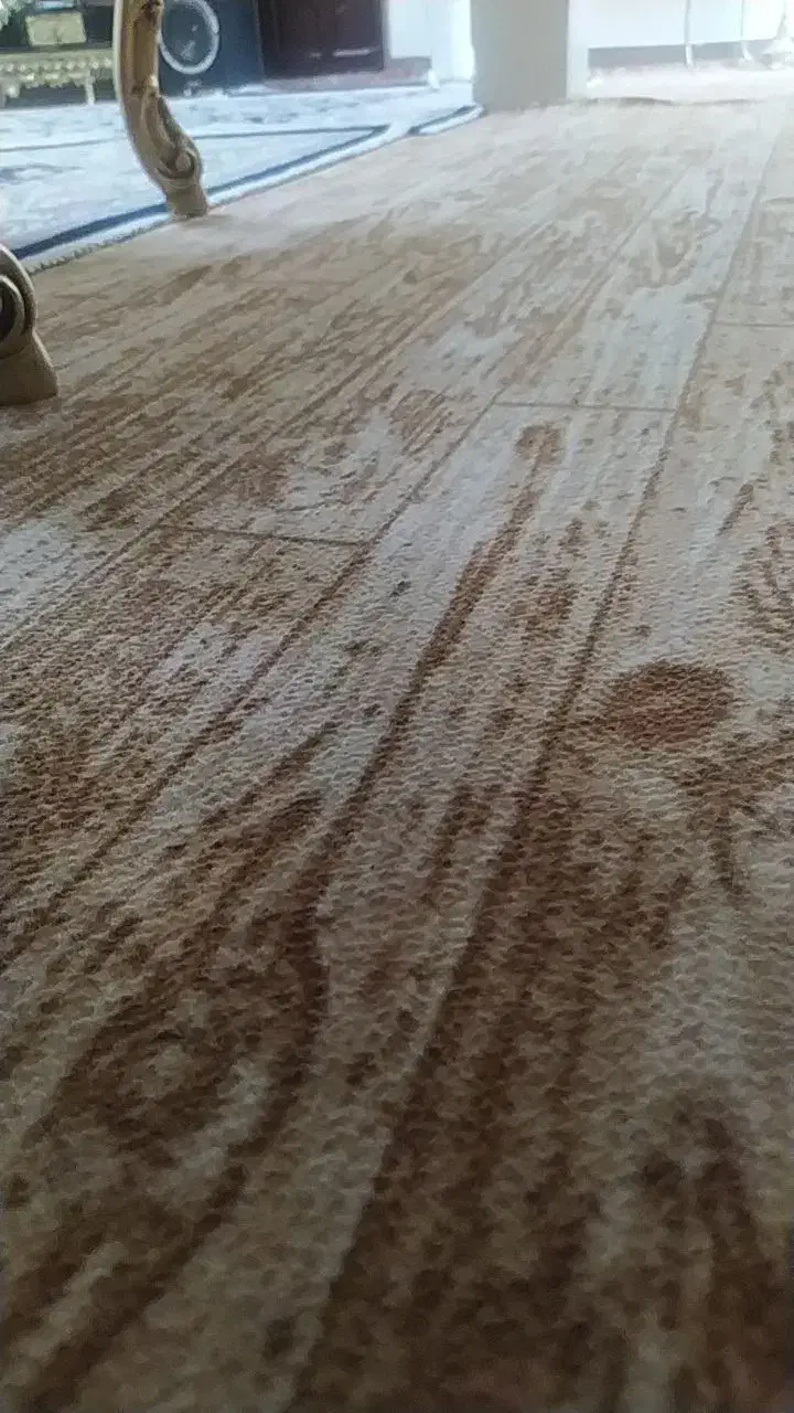 موکت در حد نو|موکت|الیگودرز, |دیوار