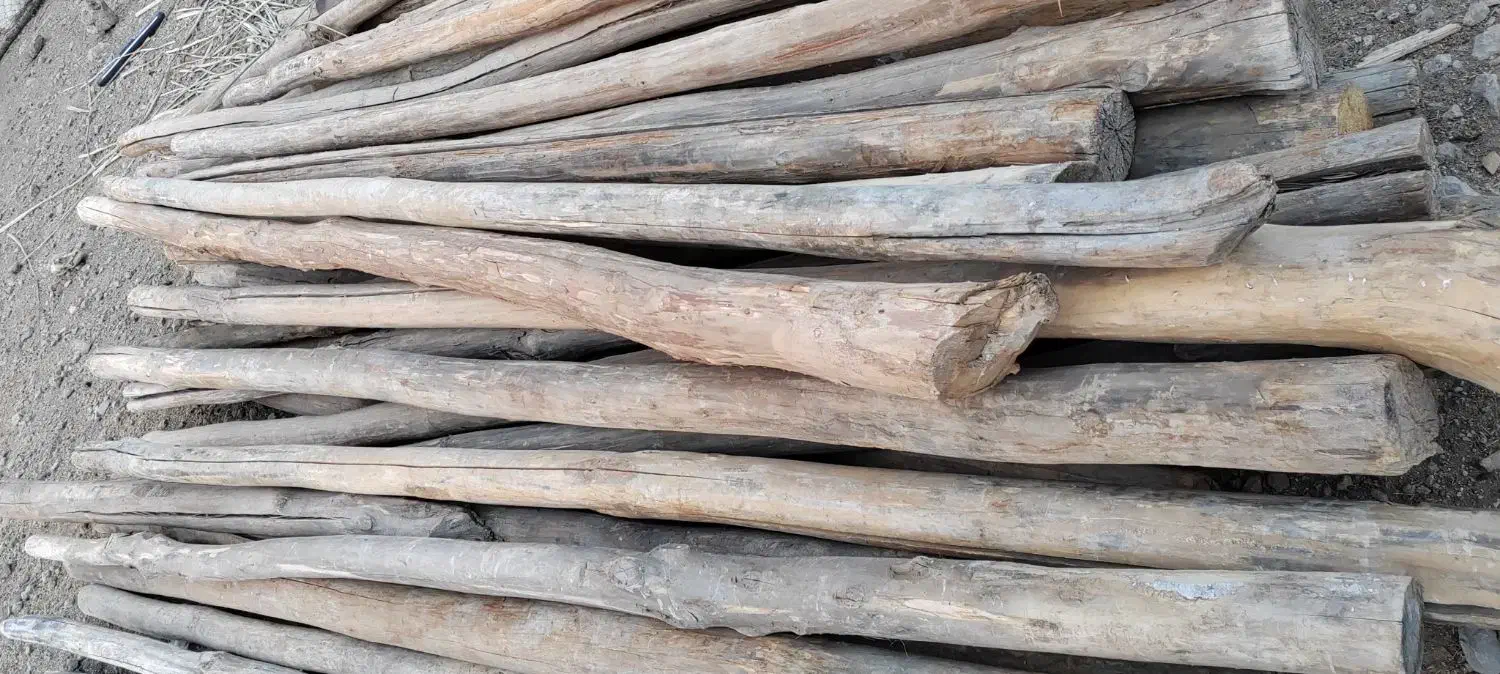 چوب سقفی|مصالح و تجهیزات ساختمان|میمند, |دیوار