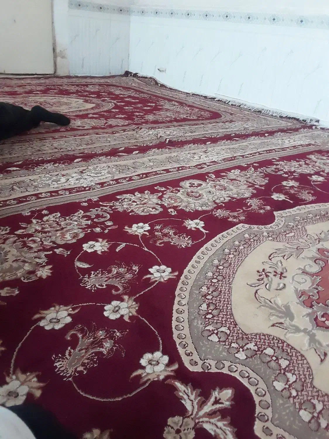 با سلام فرش|فرش|تایباد, |دیوار