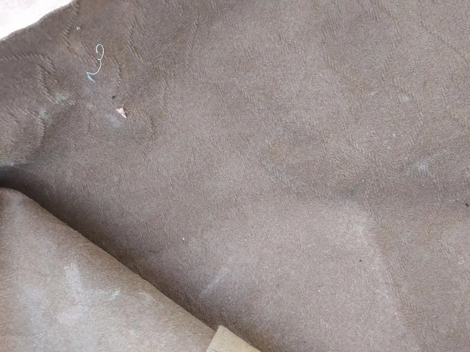 موکت|موکت|تبریز, |دیوار