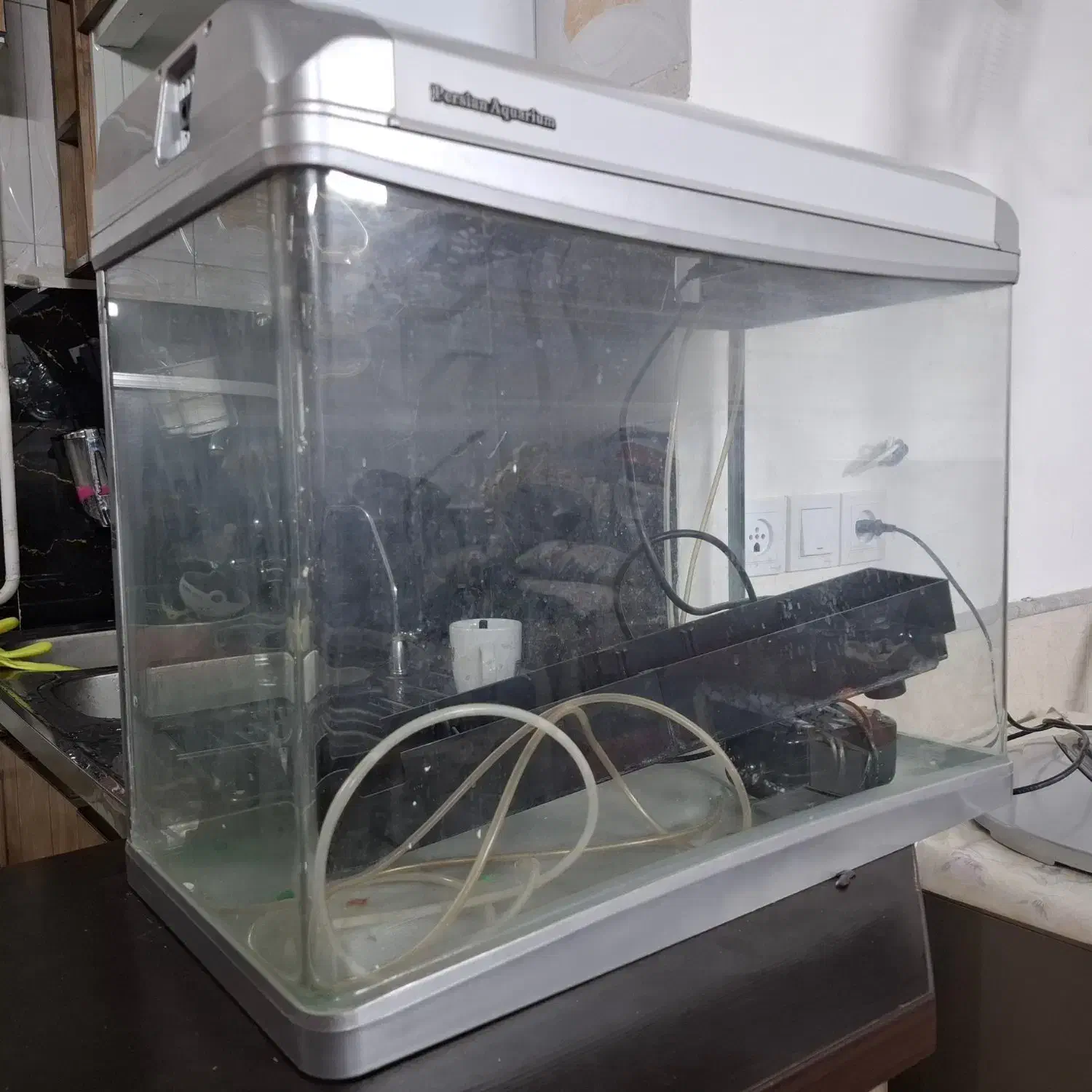 اکواریوم شرکتی لاکچری بزرگ با تجهیزات کامل|ماهی|قم, لسانی|دیوار