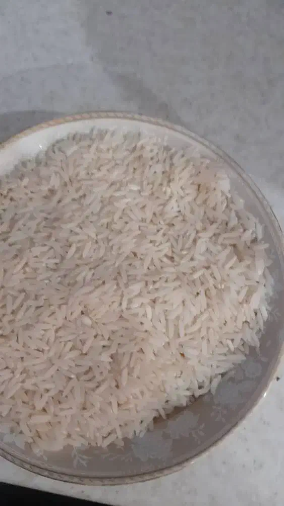 برنج طارم هاشمی فروش فوری|خوردنی و آشامیدنی|مشهد, حضرت حجت|دیوار