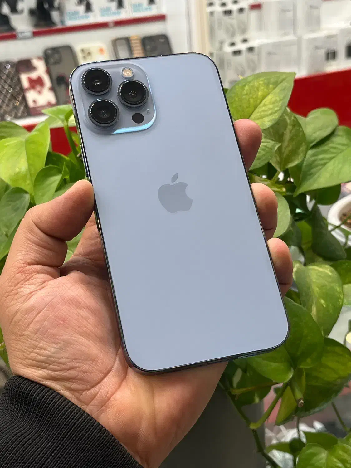 Iphone 13promax zaa|موبایل|شیراز, گود عربان|دیوار