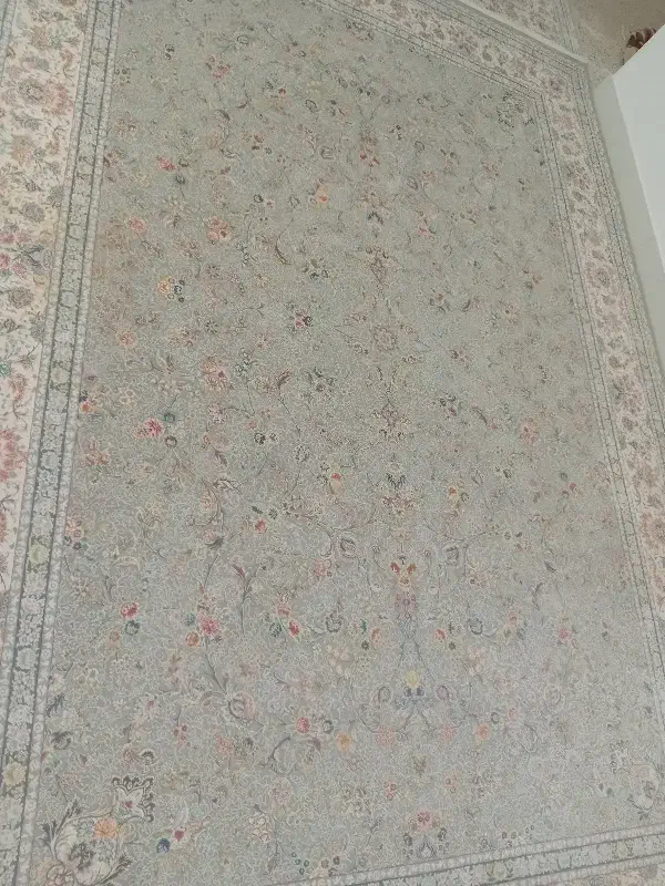 فرش درحد نو شیک|فرش|نیشابور, شهرک قدس|دیوار