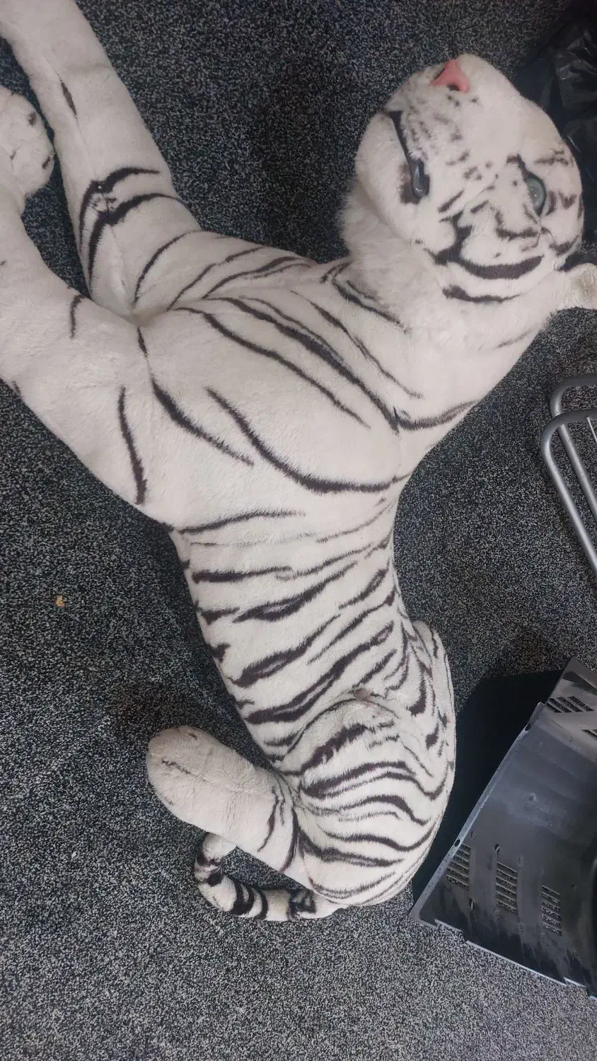 عروسک|اسباببازی|کرج, خرمدشت|دیوار